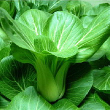 有机农产品加工产业链解析 从加工到批发的全流程