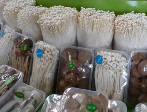 灌南金针菇 连云港灌南县的特产食用菌