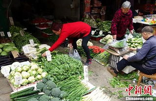 蔬菜价格攀升 食用农产品市场波动背后的多重因素